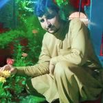 Najeeb Malik - @najeeb.malik931 - Instagram