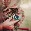 Najeeb_Raja - @najeeb_rajput143 - TikTok