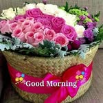 Najeeb Uddin - @najeeb.uddin.798 - Instagram