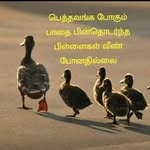 Najeebur Rahman - @najeeb_rahman64 - Instagram