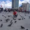 Naji Amro’s - @najiamro756 - TikTok