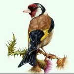 Khalid Naji - @najikhaled46 - Instagram
