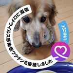 三反崎 植野 幸恵 - @najisamaha0717 - Instagram