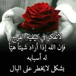 Khalil Najia - @khalil.najia.1 - Instagram