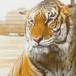 Najia Khalil - @najia4403 - Instagram