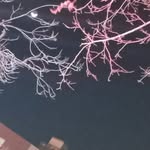 amirali - @najiamirali364 - Instagram