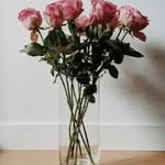 Najia Mir - @najiamir1 - Instagram