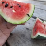 Najib Adi Nugroho - @najibadinugroho - Instagram