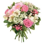 Najiba Adil - Facebook