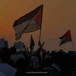 Najib Hourani - @najibhourani - Instagram