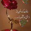 Najib Karimi - @user7395721521779 - TikTok