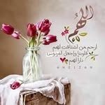 Najib Khalil - @najib.khalil.54 - Instagram