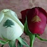 Najib Khalil - @najibkhalil35 - Instagram