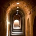 Najib Khalil - @najibkhalil8 - Instagram