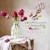 najibkhalil827 - @najibkhalil827 - TikTok
