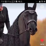 vafaly_tabriz_gizi - @najibeh_m1978 - Instagram