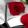 Najla Ali - @najla.ali616 - TikTok