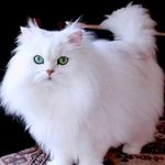 Najla fathi osman - @najla_ali_osman - Instagram