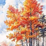 Najla Bashir - @najlabashir2 - Instagram