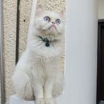 Najla Haddad - @najlahaddad63 - Instagram