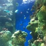 Najla - @najla_haddad - Instagram
