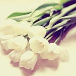 jojo.alharbi - @najla_____alharbi - Instagram