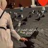 🇬🇧🇮🇶Naajo🦋 - @najlamuhammad08 - TikTok