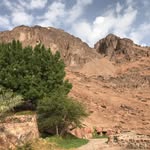 نجلاء عودة - @najladarodeh - Instagram