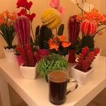 N Saeed - @najla_dar_odeh - Instagram