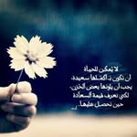 nona - @najlashah21 - Instagram