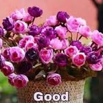 Ahamed Aathil - @najmaakbar001 - Instagram