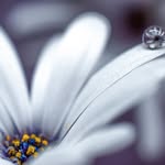 Najma Akbar - @akbar.najma - Instagram