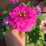 Najma Akbarsha - @akbarshanajma - Instagram