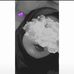 Najma Ali - Facebook