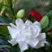 Najma Ali - Facebook