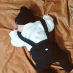 Najma Arif - @najma__arif - Instagram