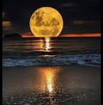 Najma Arif - Facebook