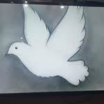 Najma Bukhari - @najmabukhari21 - Instagram