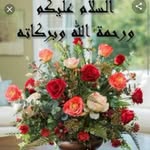Najma Bukhari - @sayednajma112233 - Instagram