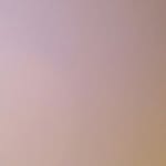 Najma Farah - @najma.farah - Instagram