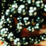 Najma Farah - @najmafarah3 - Instagram