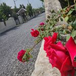 najma Farah@ni - @najmafarahani7 - Instagram