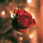 Najma Abdul haque - @najma_haq - Instagram