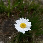 Najma haque - @najma76768 - Instagram