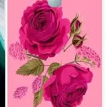 Najma Haque - @nhaque.142536 - Instagram
