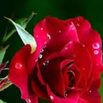 Najma Hasan - Facebook