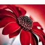 najma javed - @najmajaved90 - Instagram