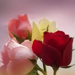 Najma Javed - @najmajaved459 - Instagram