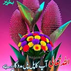 Najma Javed - Facebook