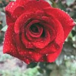 Najma Mohammed - @najmamohammed21 - Instagram